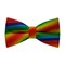 Papion Rainbow