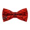 Papion Spiderman - Red