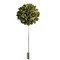Pin Sacou Dark Green
