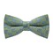 Papion Apple Green&Blue Plaid