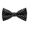 Papion Big White Dots&Black