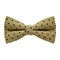 Papion Black Dots&Cream
