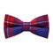 Papion Blue&Red Plaid