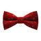 Papion Blue&White Flowers-Red