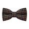 Papion Brown&RGB Plaid
