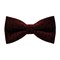 Papion Burgundy&Black Details