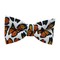 Papion Butterfly