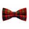 Papion Colorful Plaid