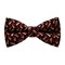 Papion Cream&Brown Triangles