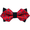 Papion Diamond Red