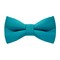 Papion Turquoise