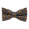 Papion Etnic Brown