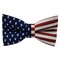 Papion Flag SUA