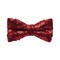 Papion Glamour Red