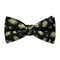 Papion Green&Yellow Splash