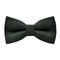 Papion Hooker's Green Plaid
