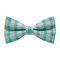 Papion Houndstooth Turquoise