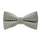 Papion Little Black Dots&Ivory