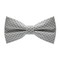 Papion Little Black Dots&White I