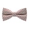 Papion Little Red Dots&White