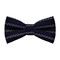 Papion Navy White Stripes