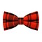 Papion Orange Plaid