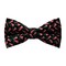 Papion Pink&Green Triangles