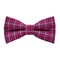 Papion Pink Plaid