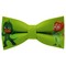 Papion PJ Masks - Gekko