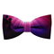 Papion Purple Wedding