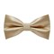 Papion S Apricot