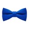 Papion Shiny Klein Blue