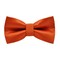 Papion Shiny Orange
