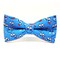 PAPION SMILEY - BLUE