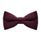 Papion Tyrian Purple