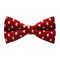 Papion White Hearts&Red