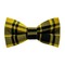Papion Yellow&Black Plaid
